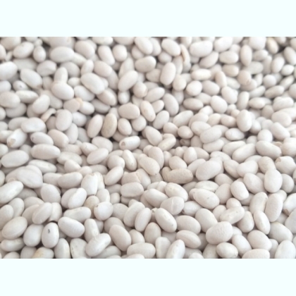 ��������� ������� �� ��������� � ������� ������� ����� �����. 